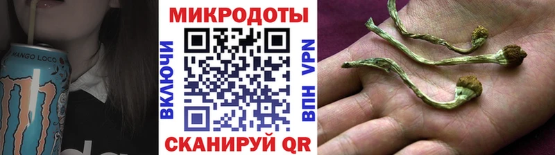 Галлюциногенные грибы мухоморы  Кувандык 