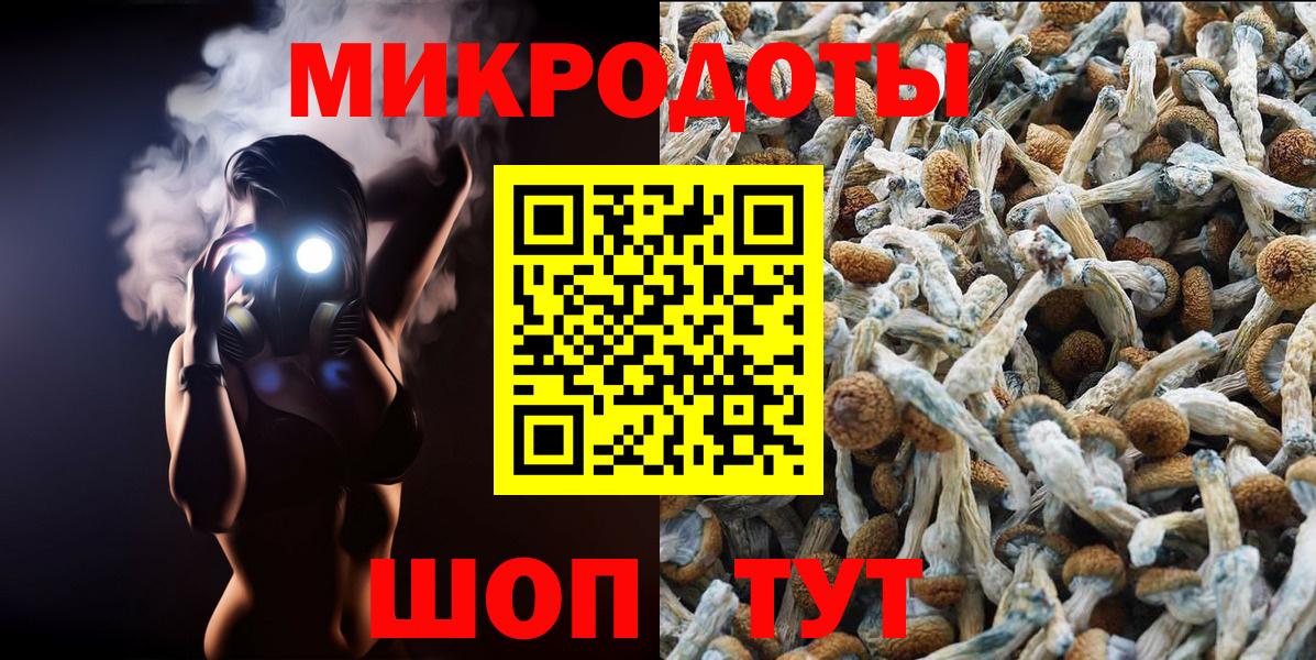 Псилоцибиновые грибы Cubensis Кувандык