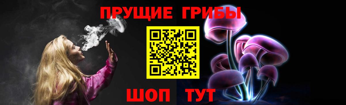 Кувандык  Галлюциногенные грибы Cubensis  Вход с VPN 